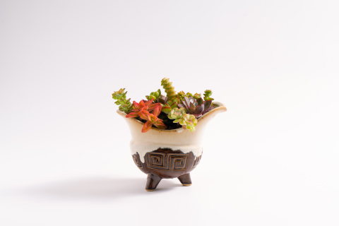 古典风陶瓷多肉摆件图片 古典风陶瓷多肉摆件图片