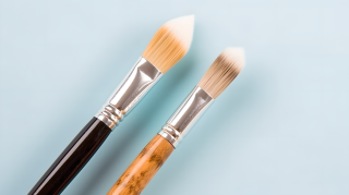 白色背景两种笔刷摄影图片