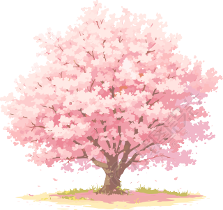 樱花树插画简约素材