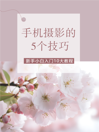 初春樱花实景手机摄影的5个技巧小红书封面配图