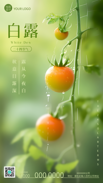 二十四节气白露丰收的西红柿实景手机海报