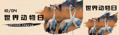 世界动物日保护生态自然公众号封面图