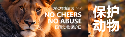 森林中的狮子实景世界动物日宣传公众号封面图