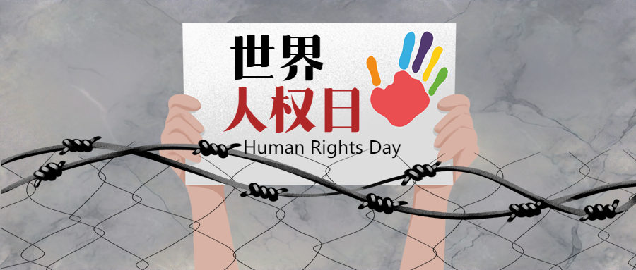 高举世界人权日宣传标语创意微信公众号首图