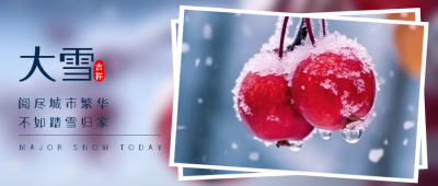 冬日红浆果实景二十四节气大雪微信公众号首图