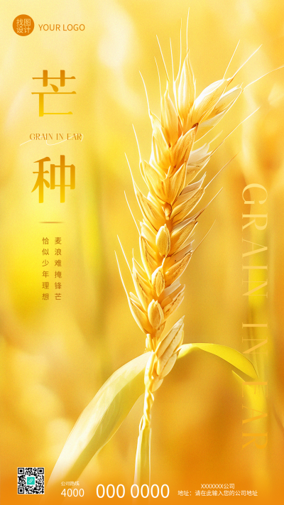 24节气芒种小麦实景手机海报