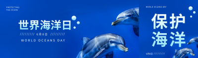 世界海洋日海豚实景公众号封面图