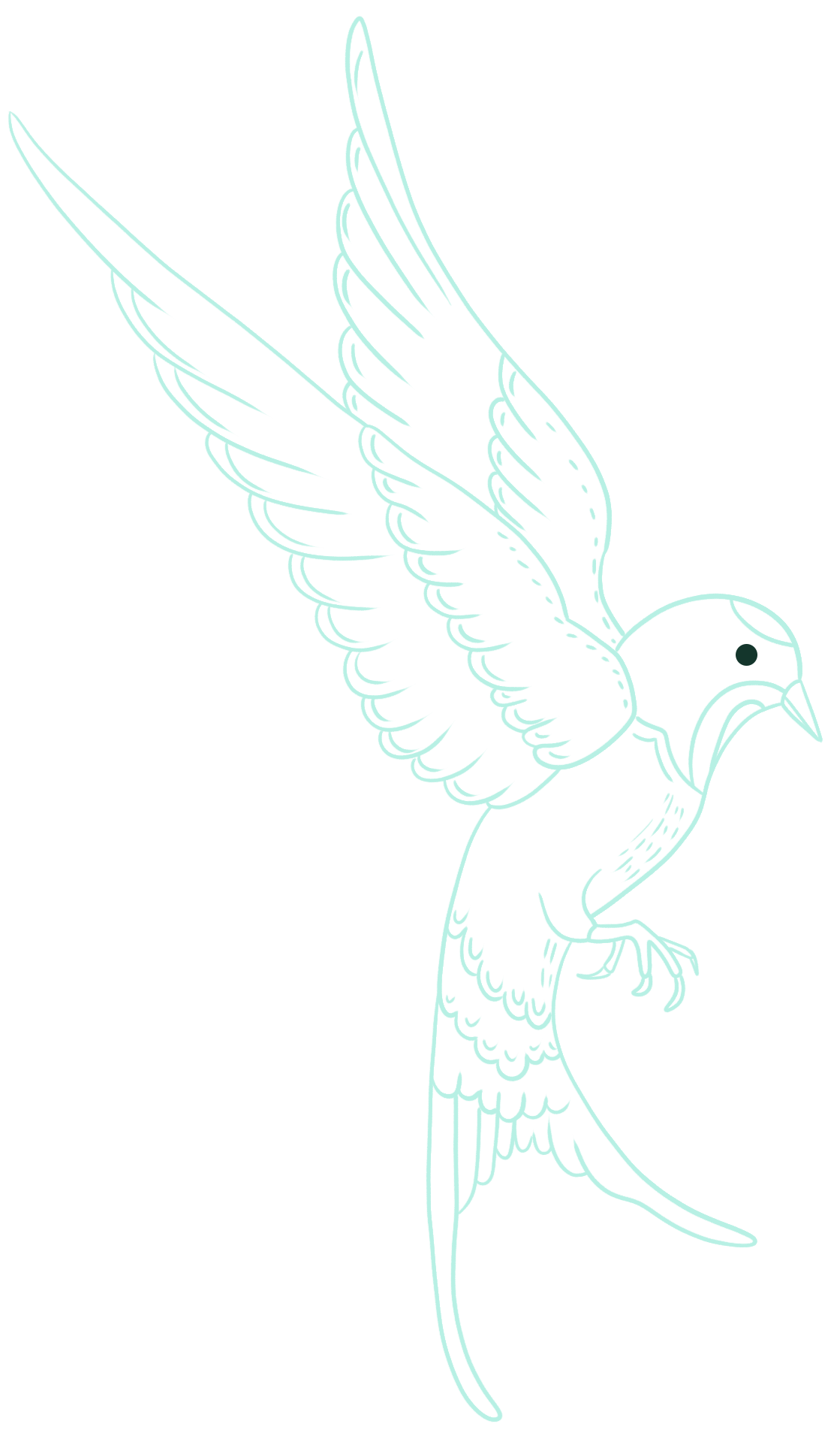 青鸟素材图片如何绘制?