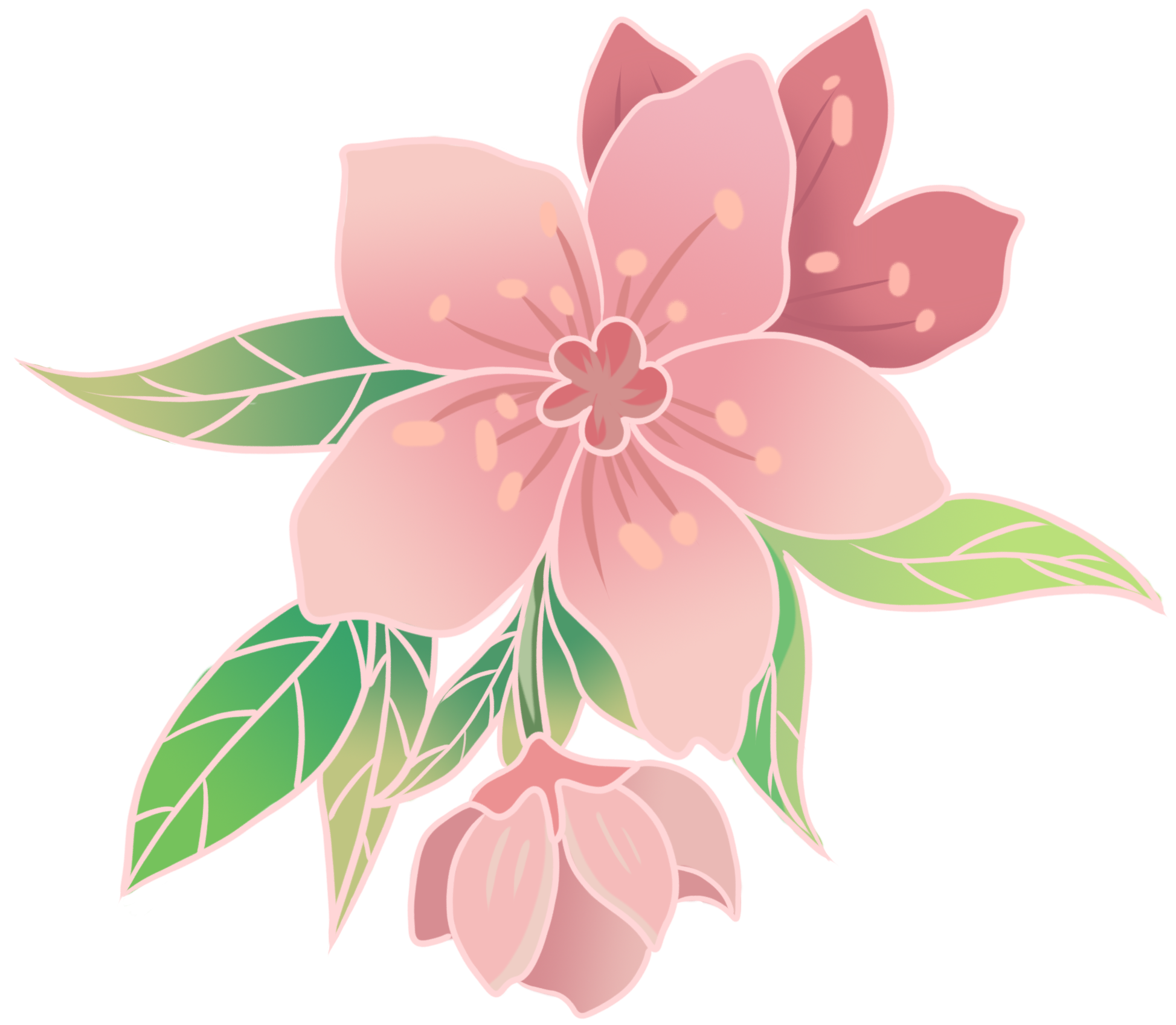 花绘画图片大全创作方法!快速制作技巧!