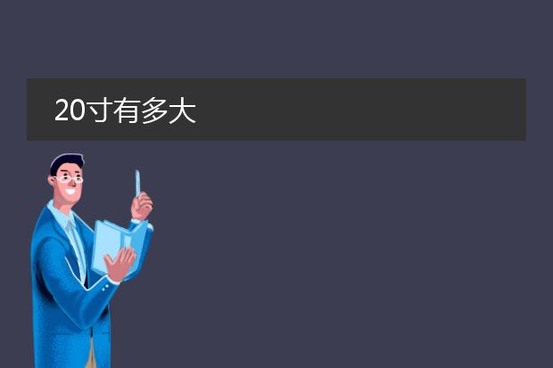 20寸有多大