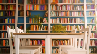 阳光明媚的阅读环境摄影图