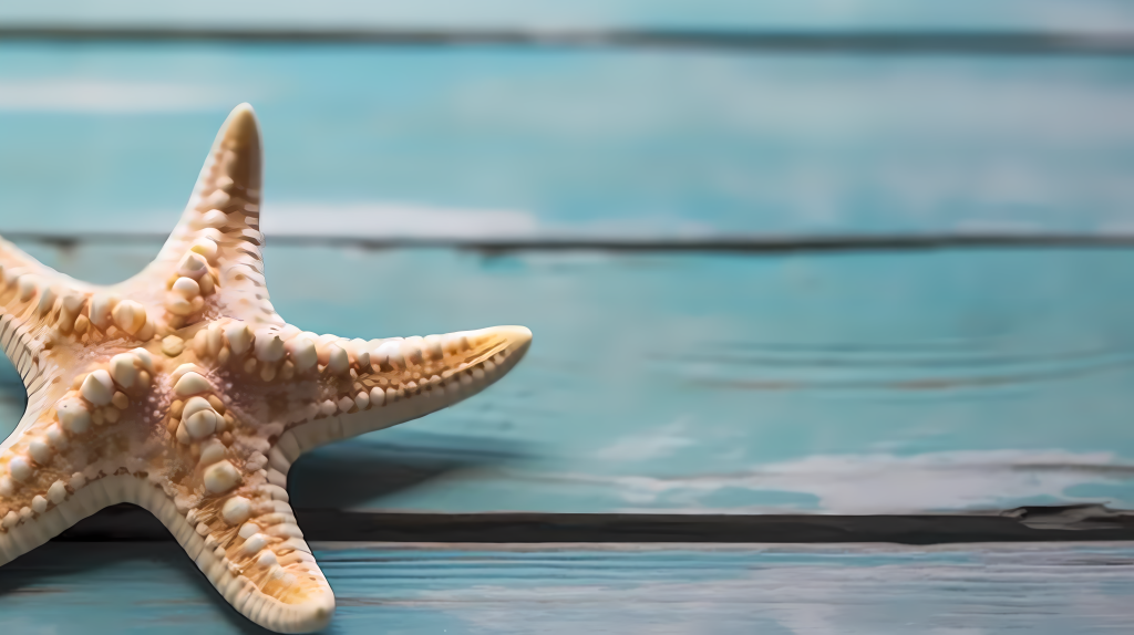 漂亮的黄色海星摄影版权图片下载