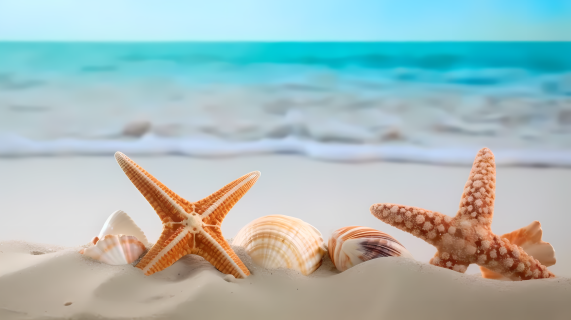 海星贝壳沙滩美景摄影图