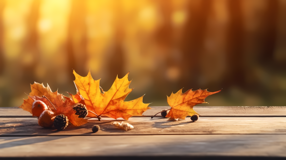 自然景观秋日阳光下的木桌上落叶摄影图