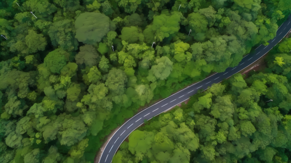 热带雨林蜿蜒公路鸟瞰摄影图片