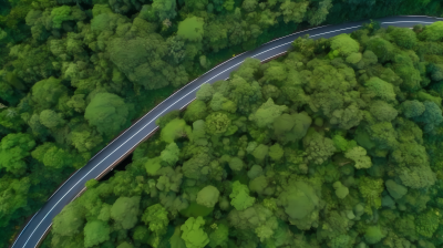 翠绿原始森林蜿蜒公路鸟瞰摄影图片