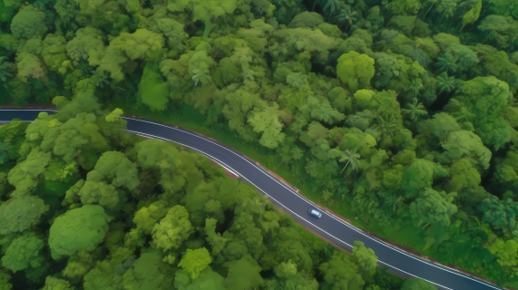 热带雨林生态环境蜿蜒道路鸟瞰摄影图片