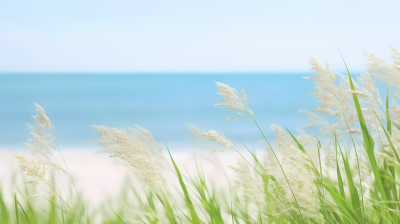 海滩小屋的麦草与海洋摄影图