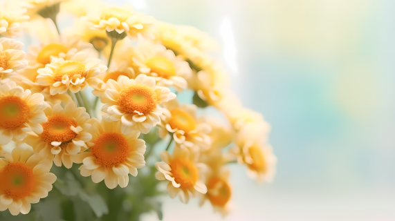 柔和淡雅的黄色雏菊花瓶摄影图