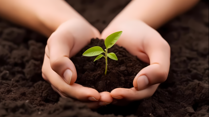 女子插秧种树摄影图片