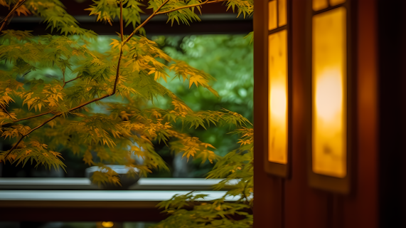 玄关池塘边的光影富山寺庭院夜景摄影图