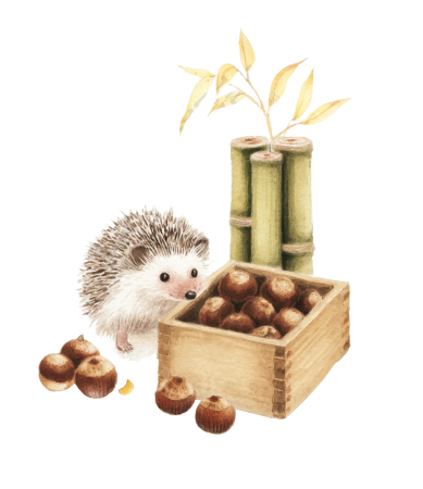 可爱小刺猬和栗子水彩插图