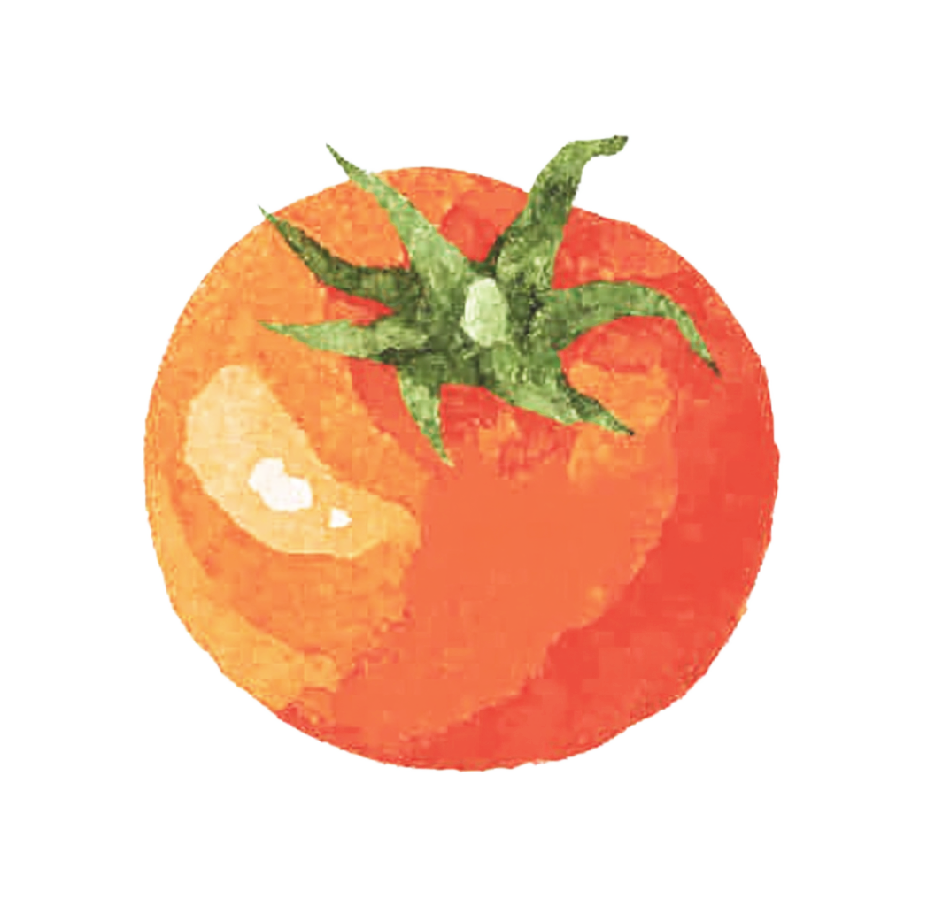 西红柿水彩素材