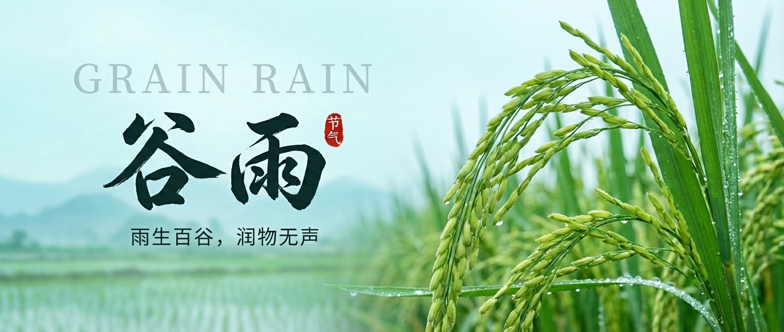 24节气谷雨简约微信公众号首图