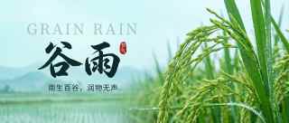 24节气谷雨简约微信公众号首图
