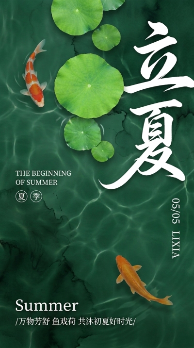 立夏时节鱼戏荷水彩风手机海报