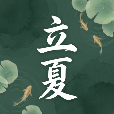 立夏节气纯色简约微信公众号次图