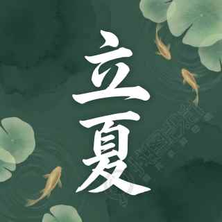 立夏节气纯色简约微信公众号次图