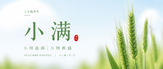 小满节气麦穗初齐微信公众号首图