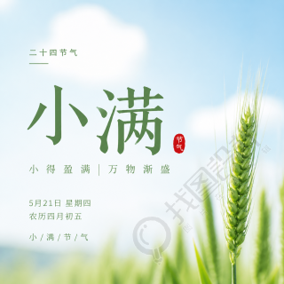 小满时节实景宣传微信公众号次图