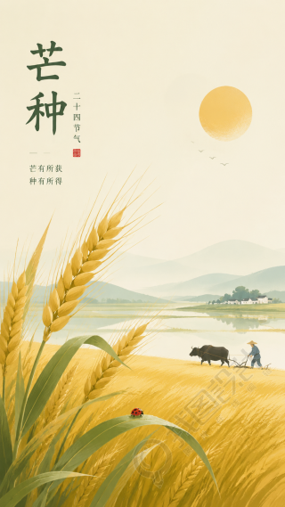 24节气芒种忙而有度创意手机海报