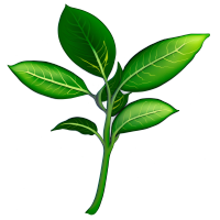 植物插画素材