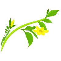 花卉插图素材图片