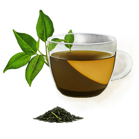 茶叶插图素材