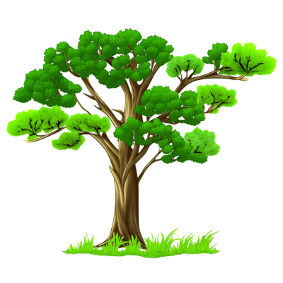 森林插画
