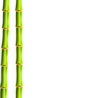 竹子插图素材