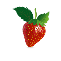 草莓插图设计素材
