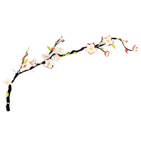 梅花插画素材