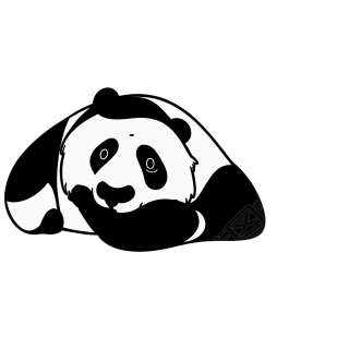 熊猫插画手绘素材
