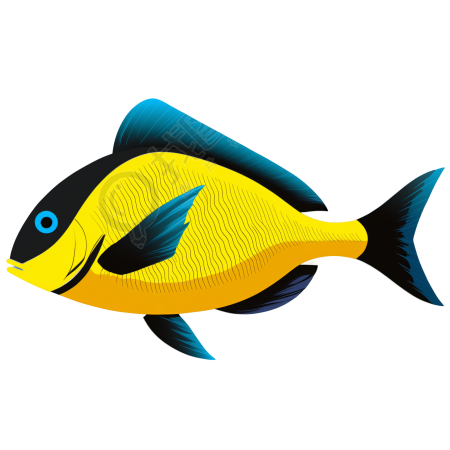 海洋生物插画素材