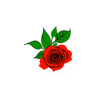 玫瑰插画素材
