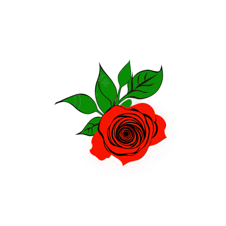 玫瑰插画素材