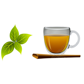 茶插画素材
