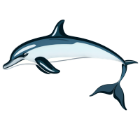精美海豚插图素材