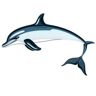 精美海豚插图素材