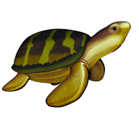 海洋插图素材